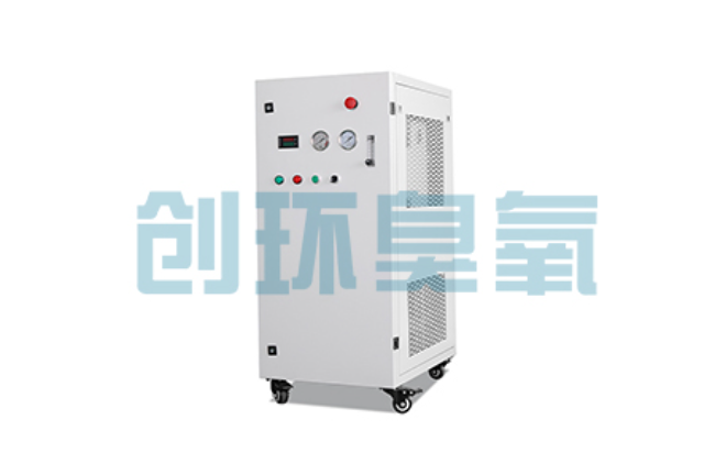 贵港比传统换水更高效?臭氧发生器在石斑鱼养殖中的水质净化原理解析